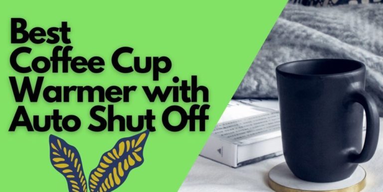 Best Coffee Cup Warmer with Auto Shut Off: The Ultimate Buying Guide For 2022
