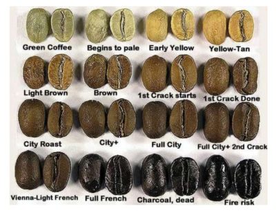 Different condition of roasted coffee