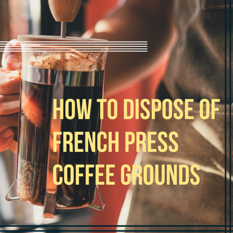 How to Dispose Of French Press Coffee Grounds: 7 Easy Steps with Recycling Used Grounds